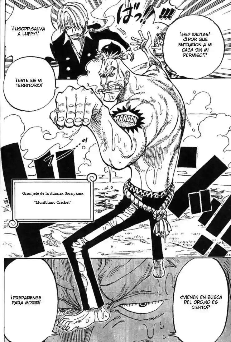 One Piece capítulo 227 página 14
