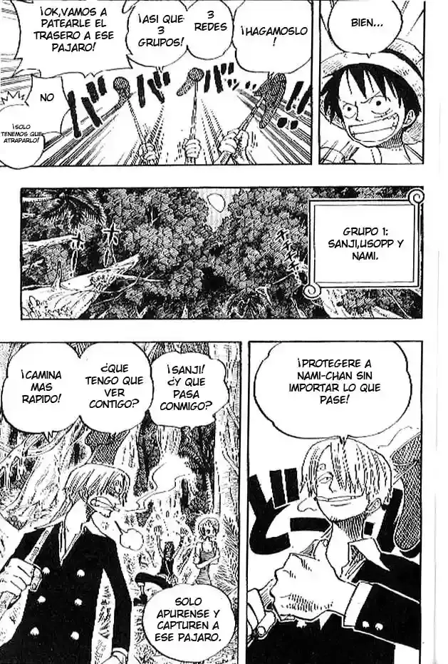 One Piece capítulo 230 página 11