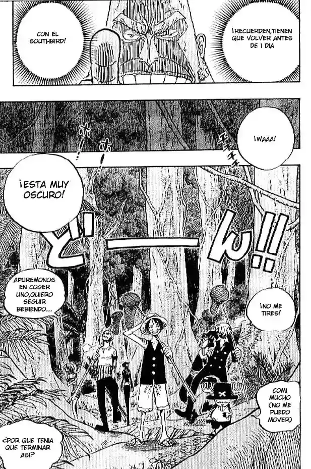 One Piece capítulo 230 página 9