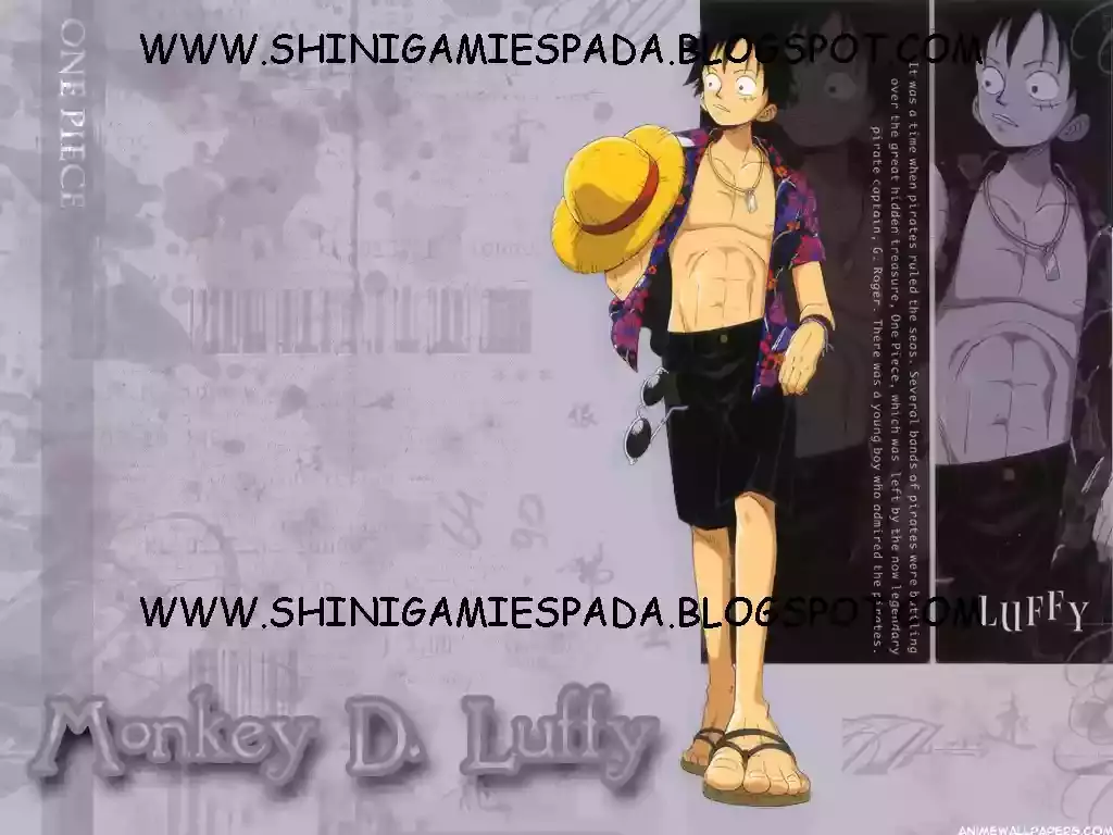 One Piece capítulo 233 página 18