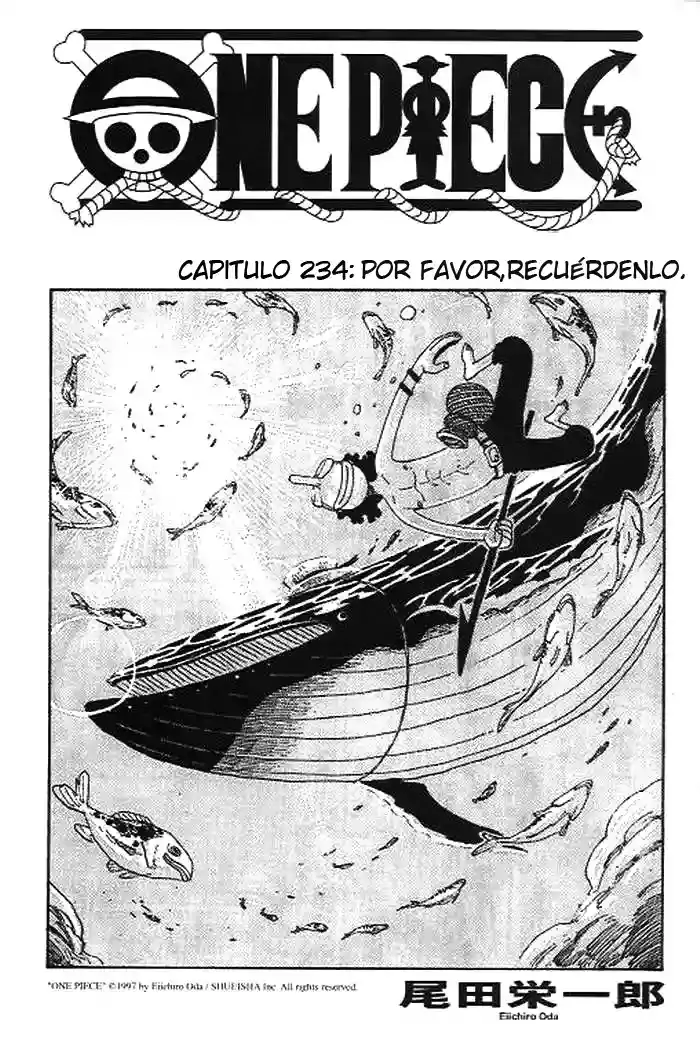 One Piece capítulo 234 página 1