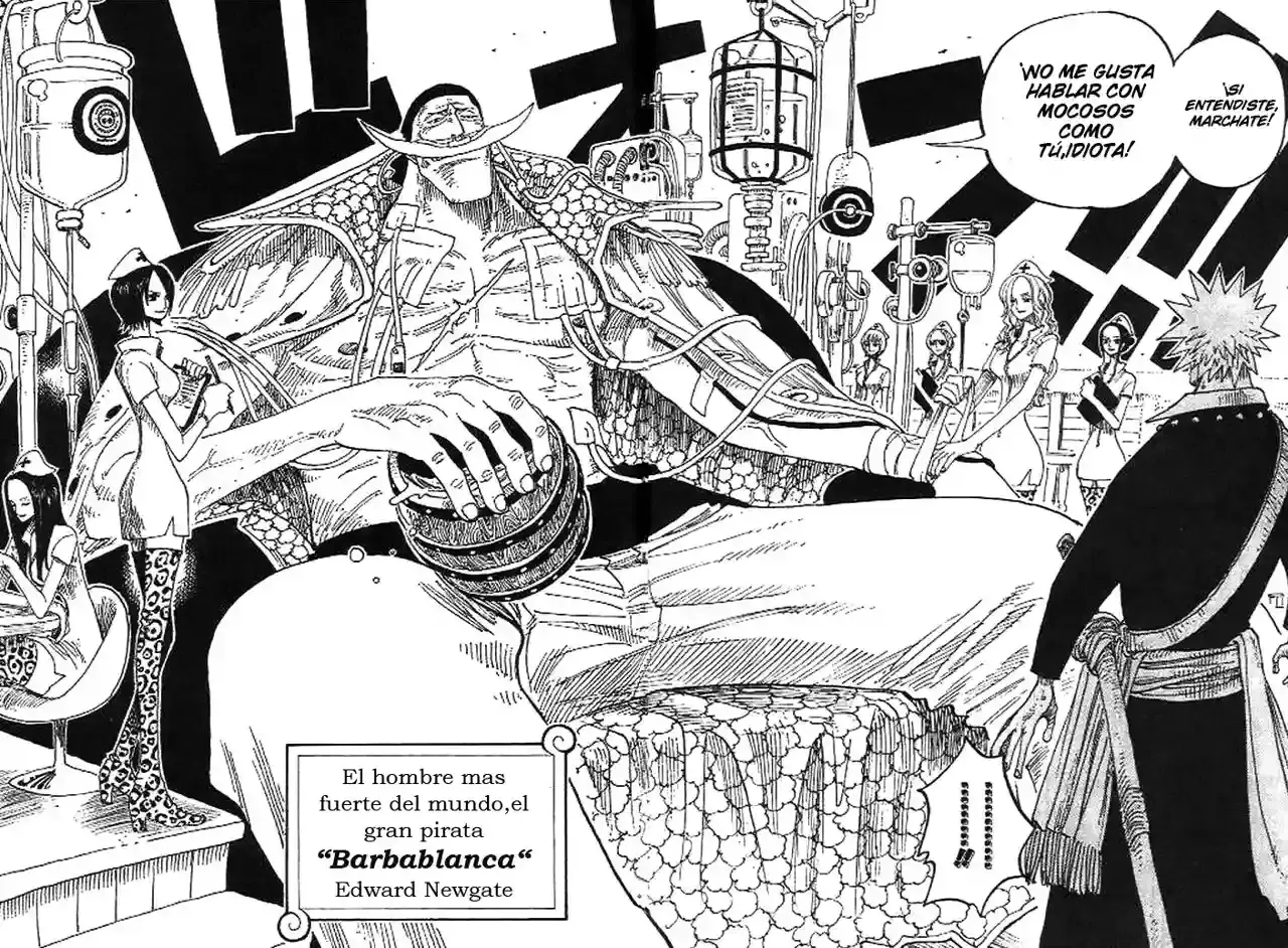 One Piece capítulo 234 página 12