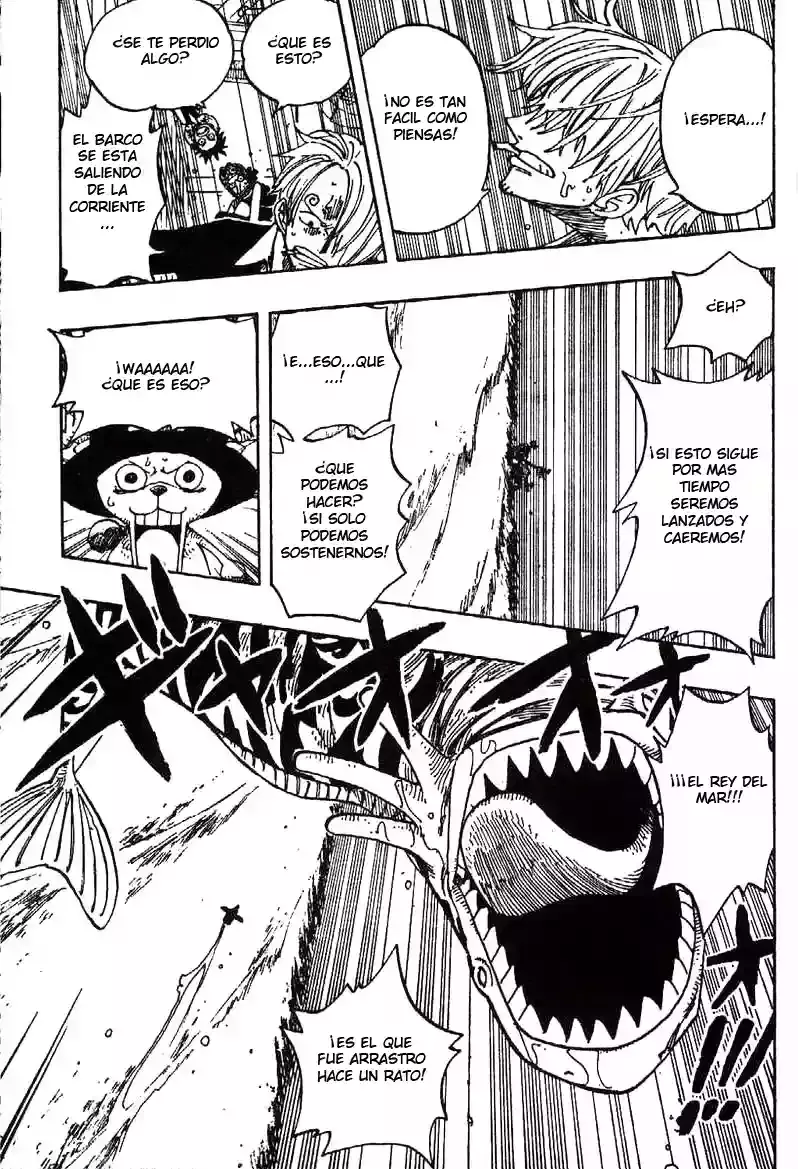 One Piece capítulo 236 página 14