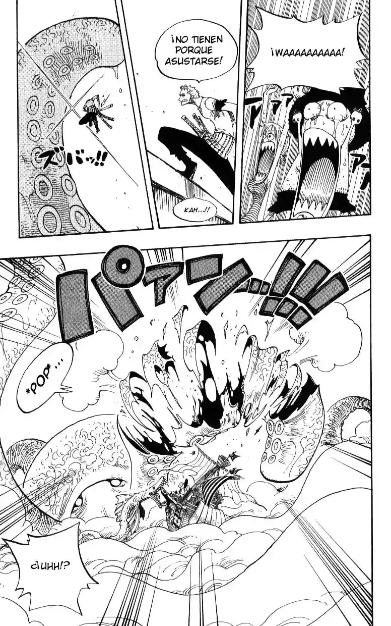 One Piece capítulo 237 página 13