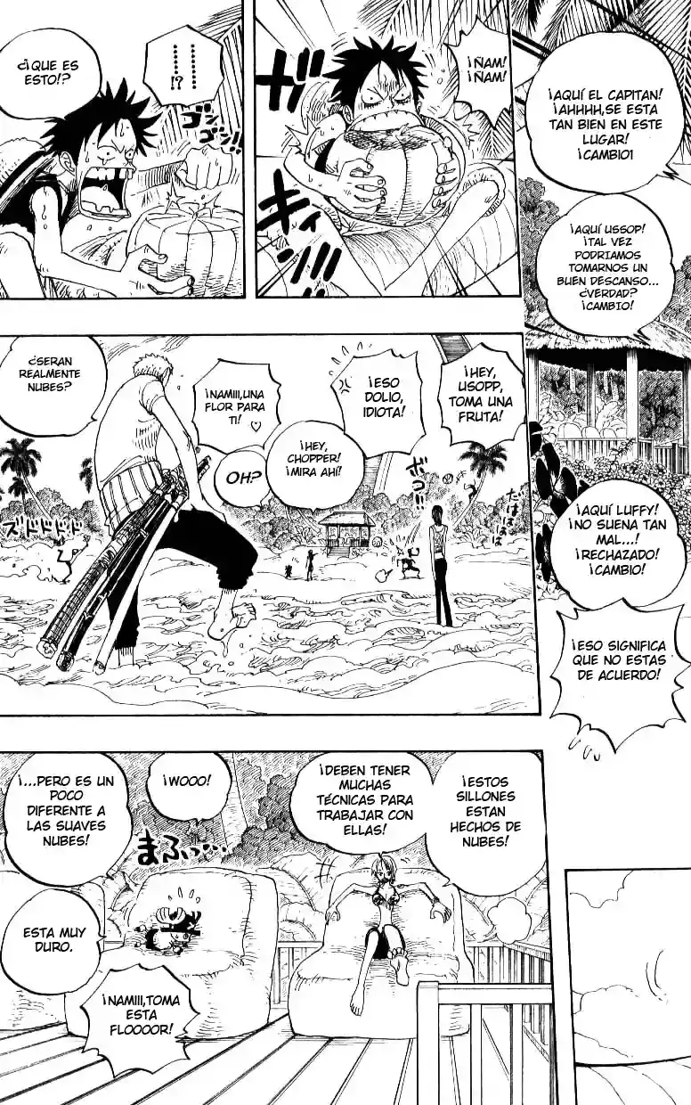 One Piece capítulo 239 página 10