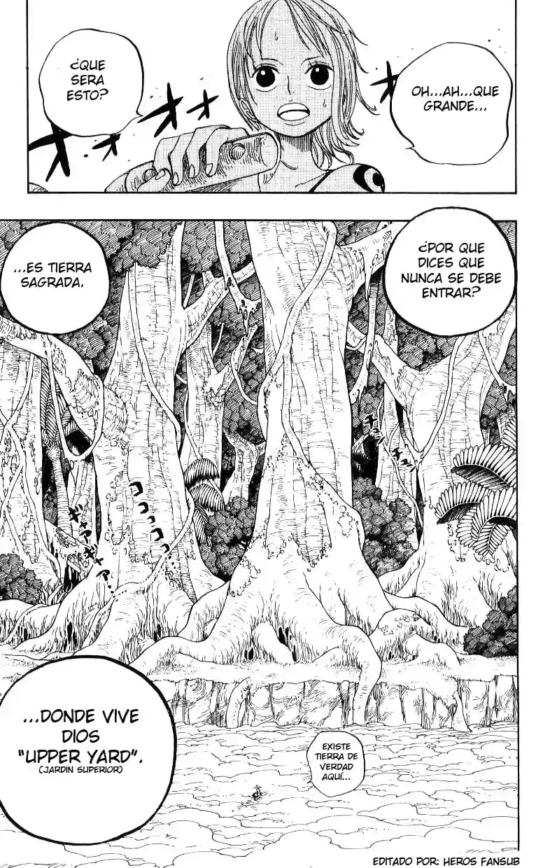 One Piece capítulo 240 página 17