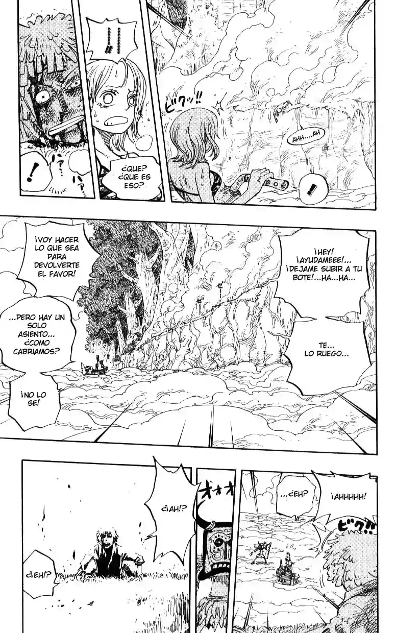 One Piece capítulo 241 página 10