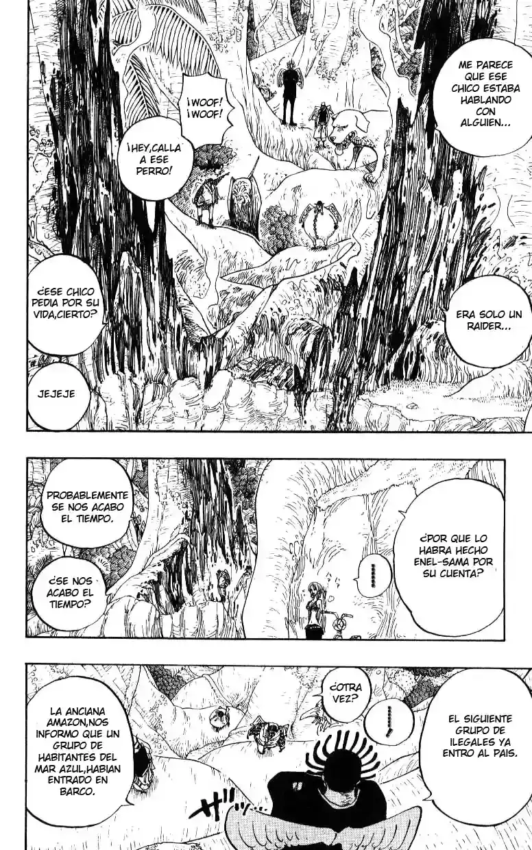 One Piece capítulo 241 página 13