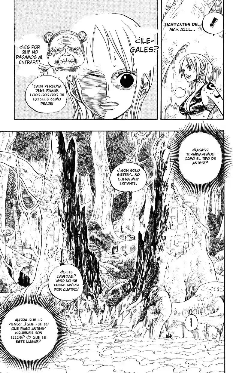 One Piece capítulo 241 página 14