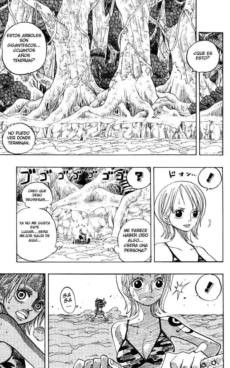 One Piece capítulo 241 página 4