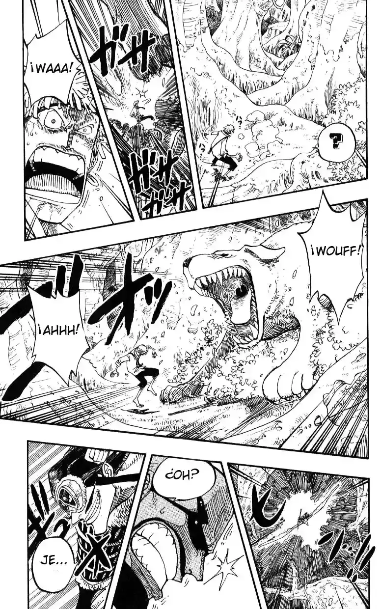 One Piece capítulo 241 página 6