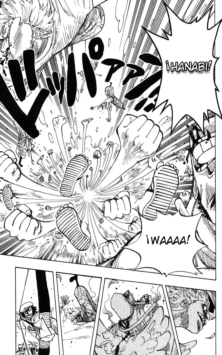 One Piece capítulo 242 página 15