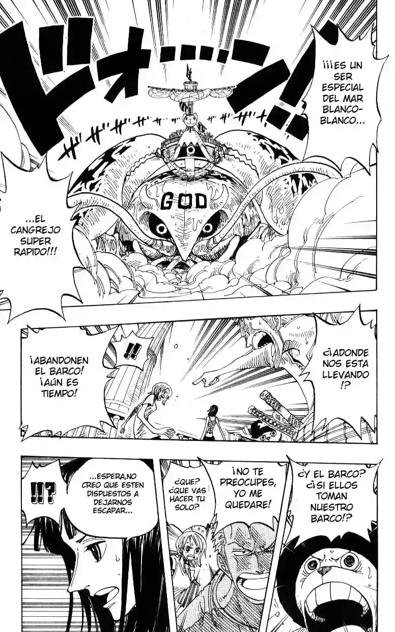 One Piece capítulo 243 página 11
