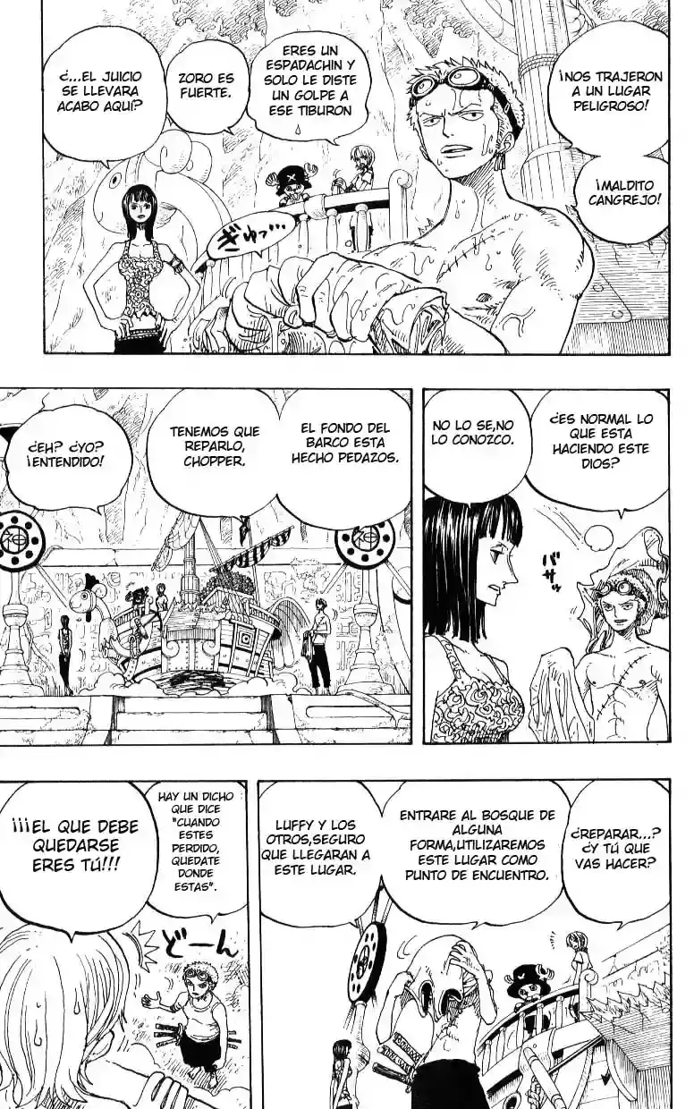One Piece capítulo 245 página 13
