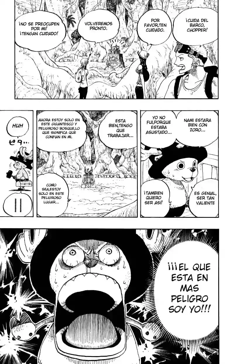 One Piece capítulo 245 página 17