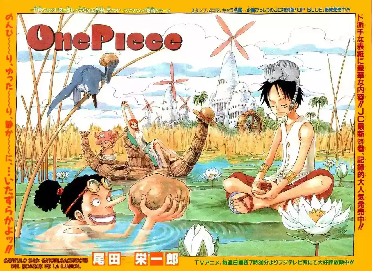 One Piece capítulo 246 página 1
