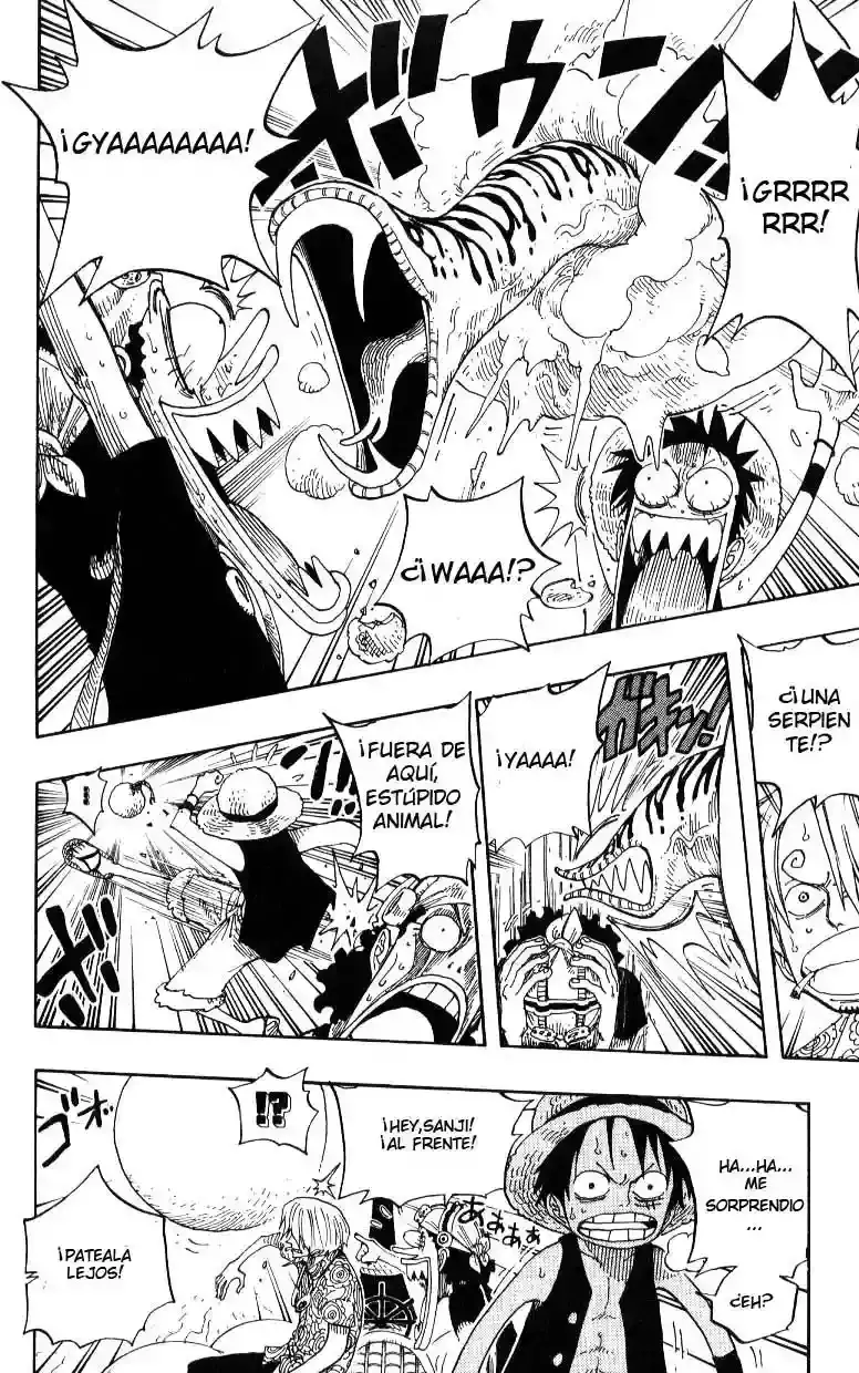 One Piece capítulo 246 página 10