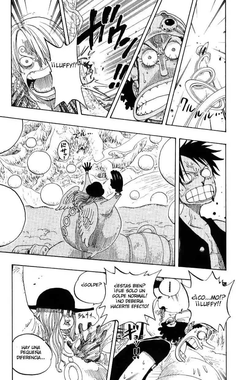 One Piece capítulo 246 página 15