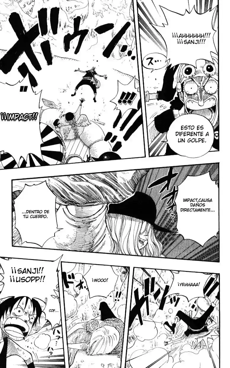 One Piece capítulo 246 página 17