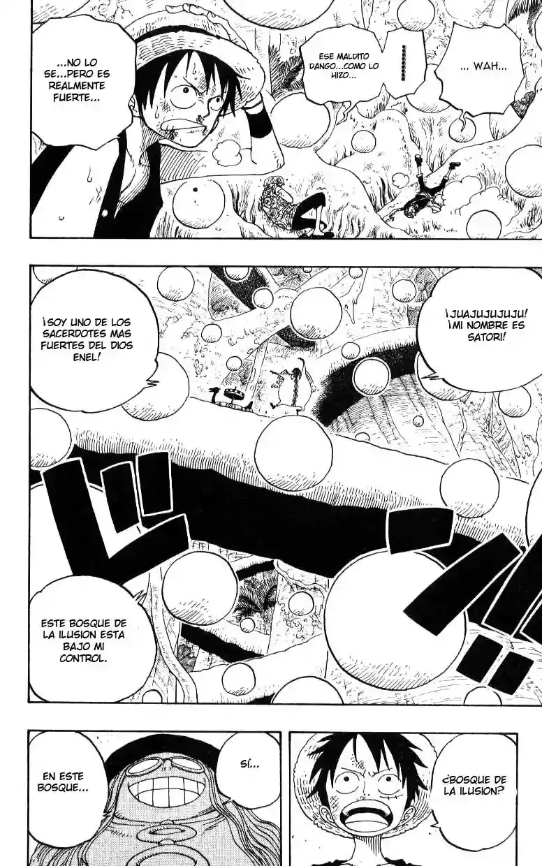 One Piece capítulo 246 página 18