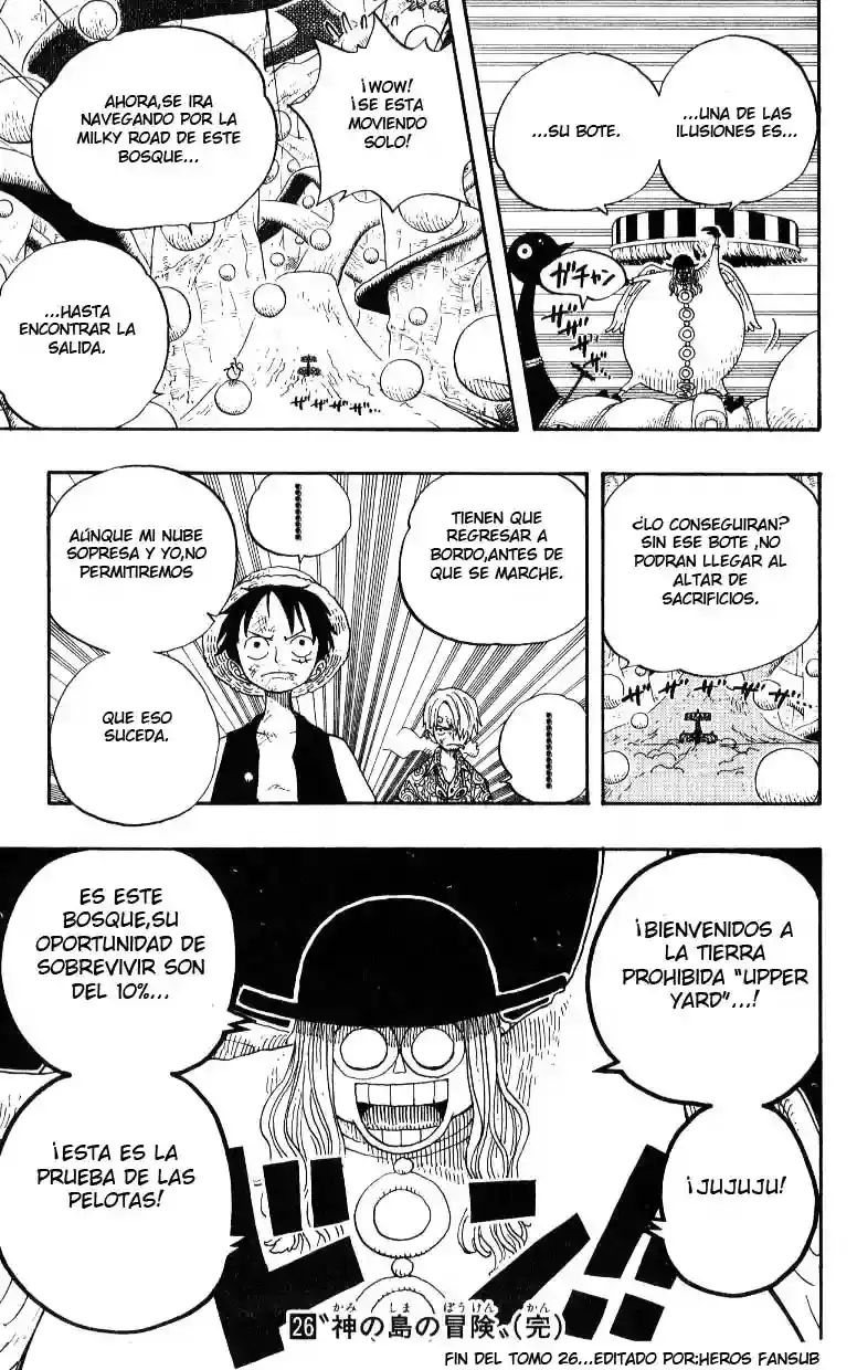 One Piece capítulo 246 página 19