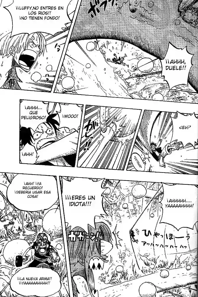 One Piece capítulo 247 página 13