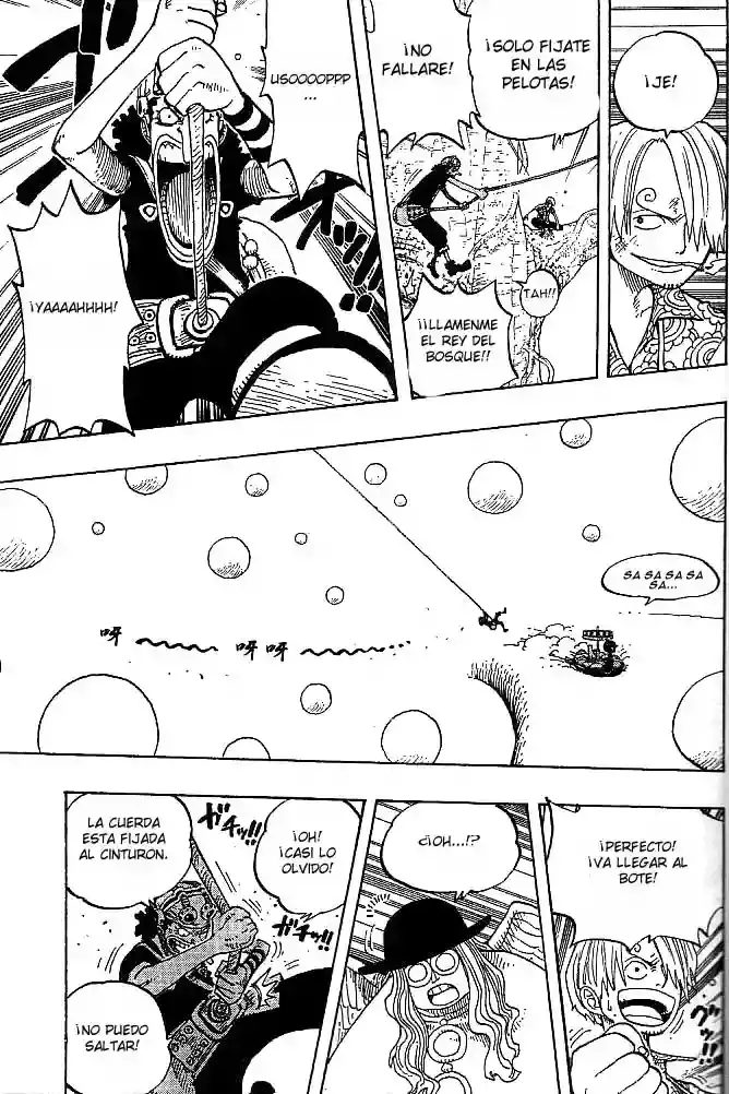 One Piece capítulo 247 página 15