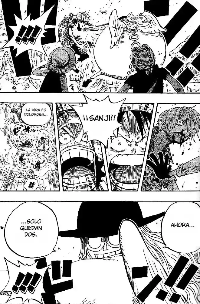 One Piece capítulo 247 página 17