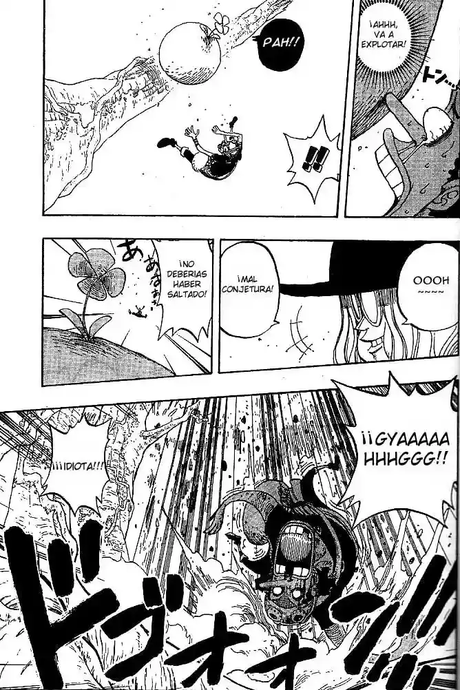 One Piece capítulo 247 página 9