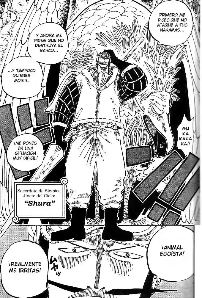 One Piece capítulo 248 página 11