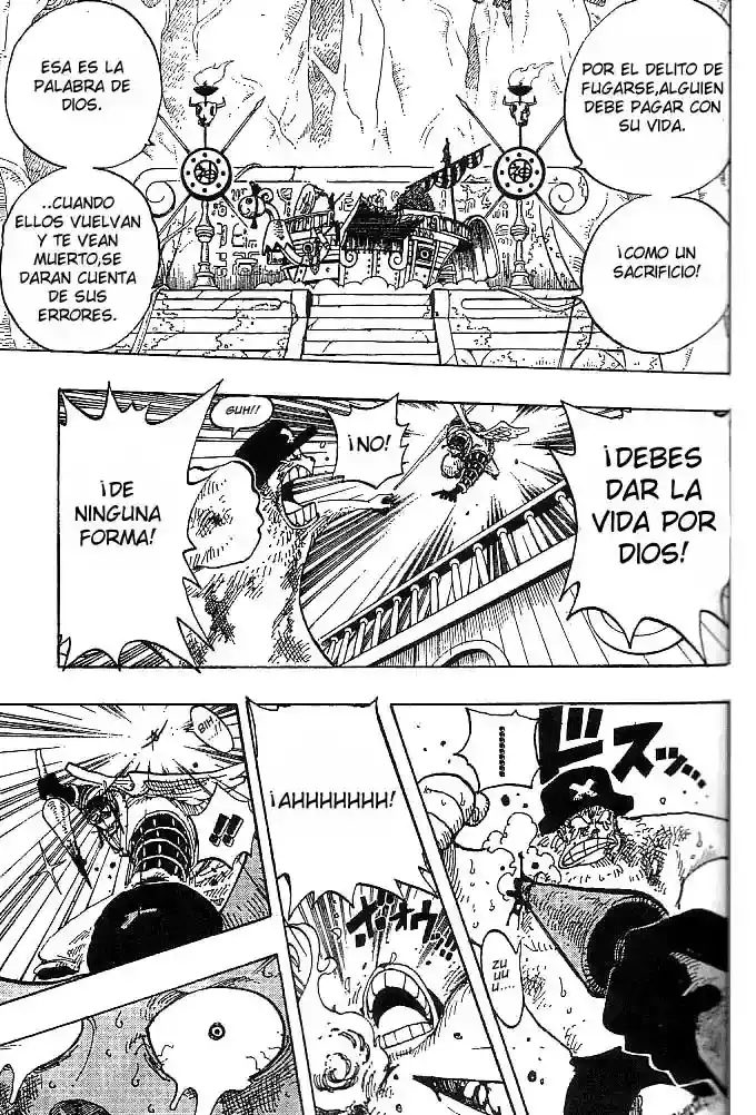 One Piece capítulo 248 página 15