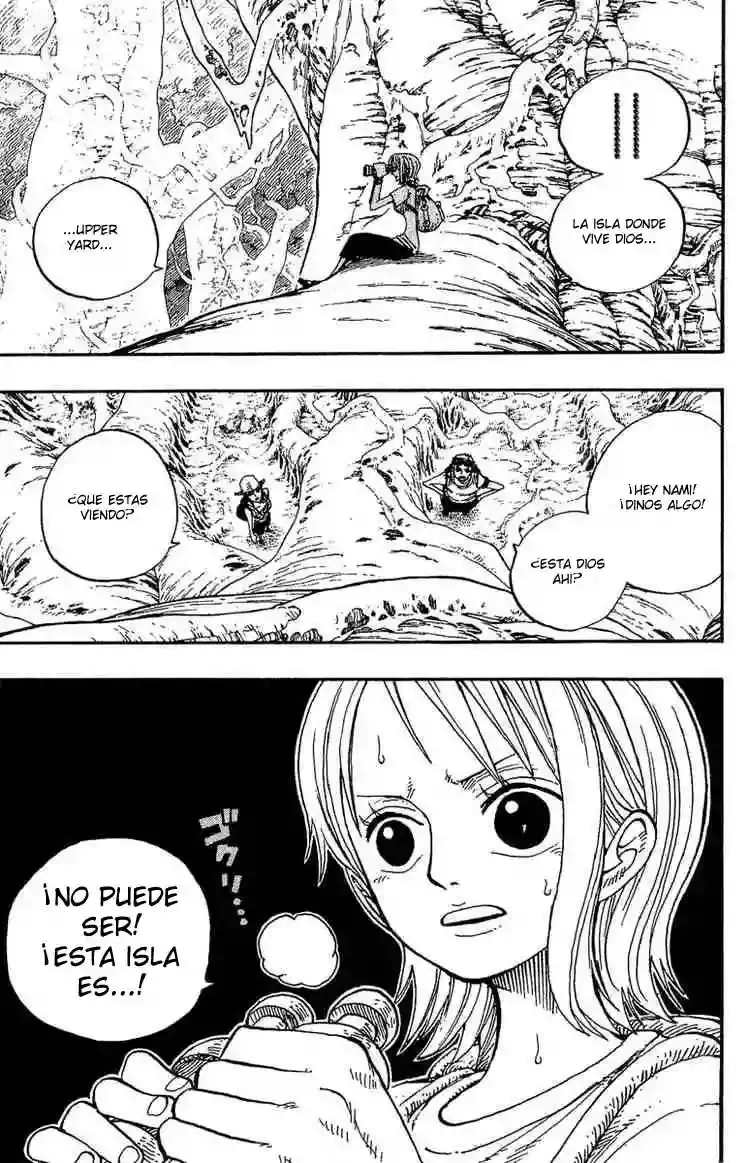 One Piece capítulo 249 página 13