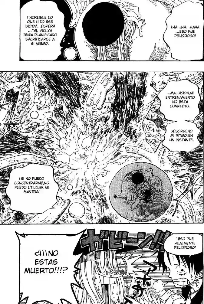 One Piece capítulo 250 página 13
