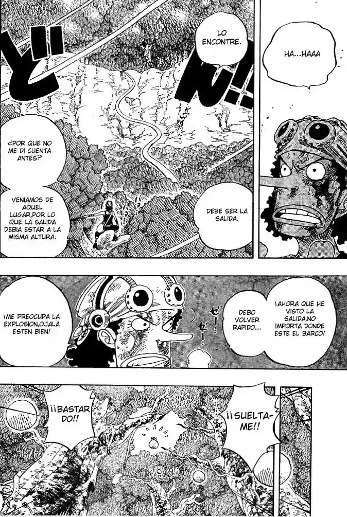 One Piece capítulo 250 página 14