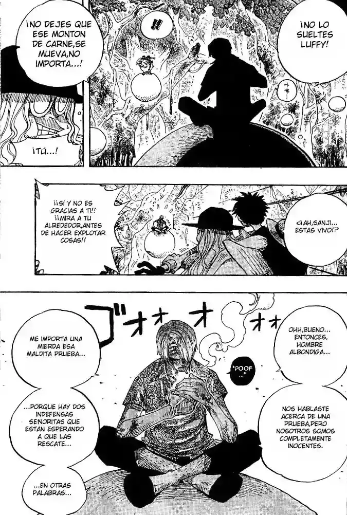 One Piece capítulo 250 página 15