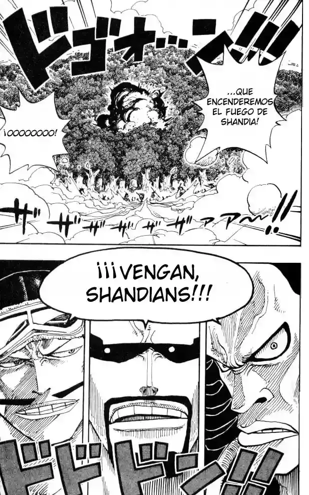 One Piece capítulo 251 página 13