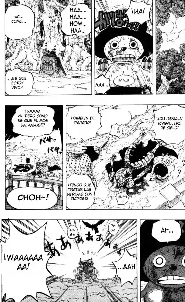 One Piece capítulo 251 página 14
