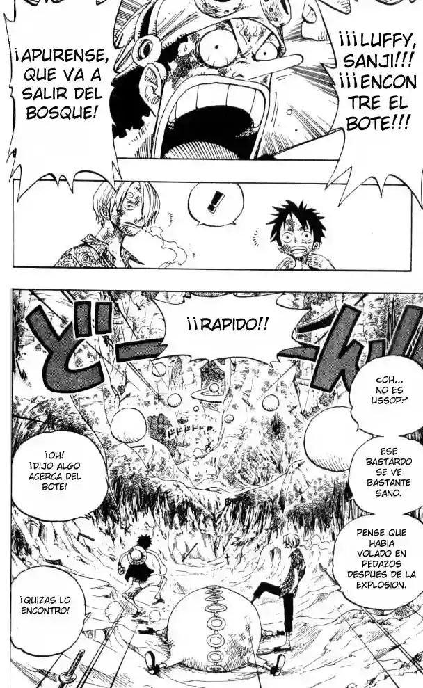 One Piece capítulo 251 página 4