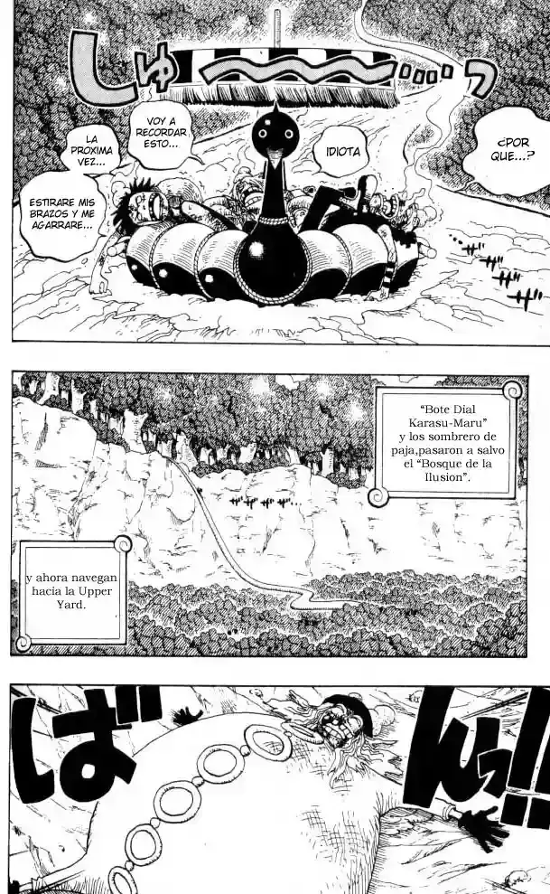 One Piece capítulo 251 página 6