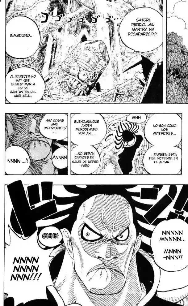 One Piece capítulo 251 página 8