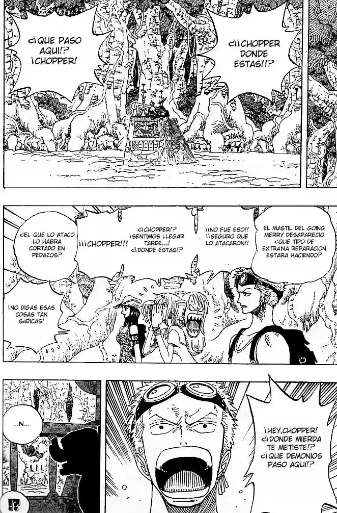 One Piece capítulo 252 página 14