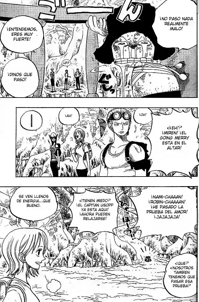 One Piece capítulo 252 página 15
