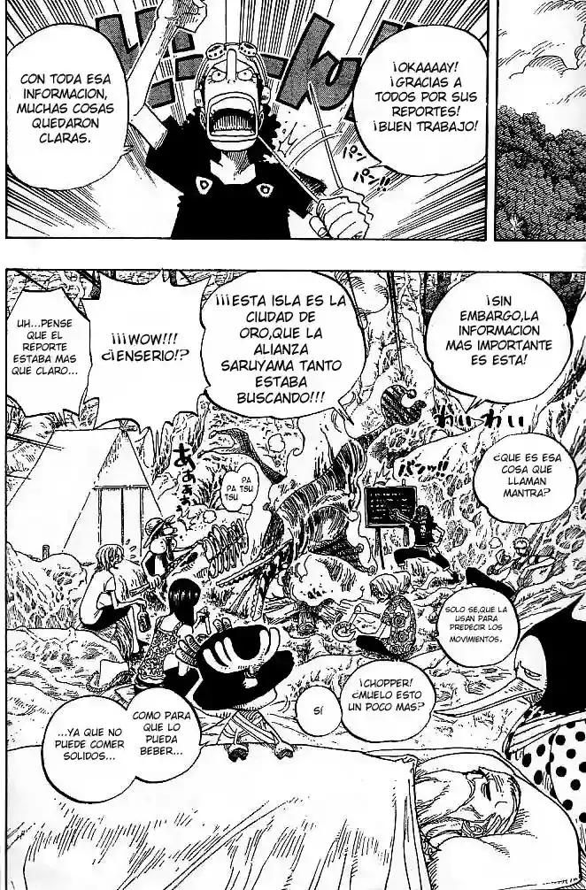 One Piece capítulo 252 página 18