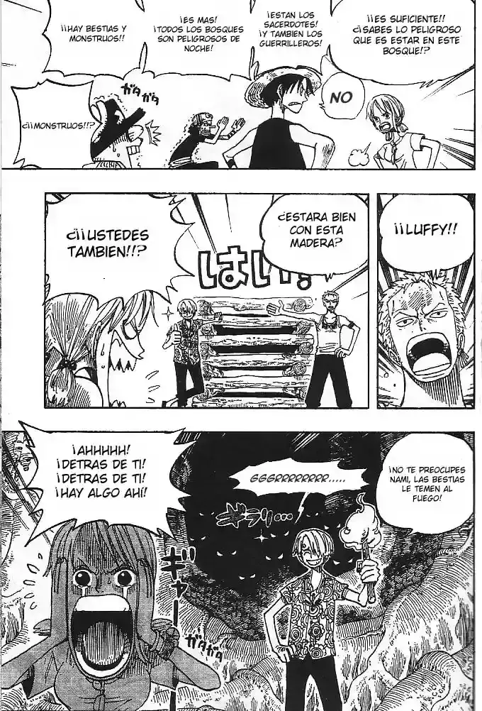 One Piece capítulo 253 página 13