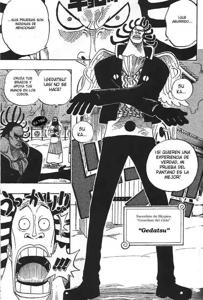 One Piece capítulo 254 página 8