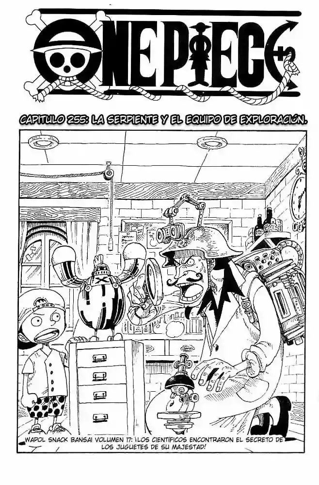 One Piece capítulo 255 página 1
