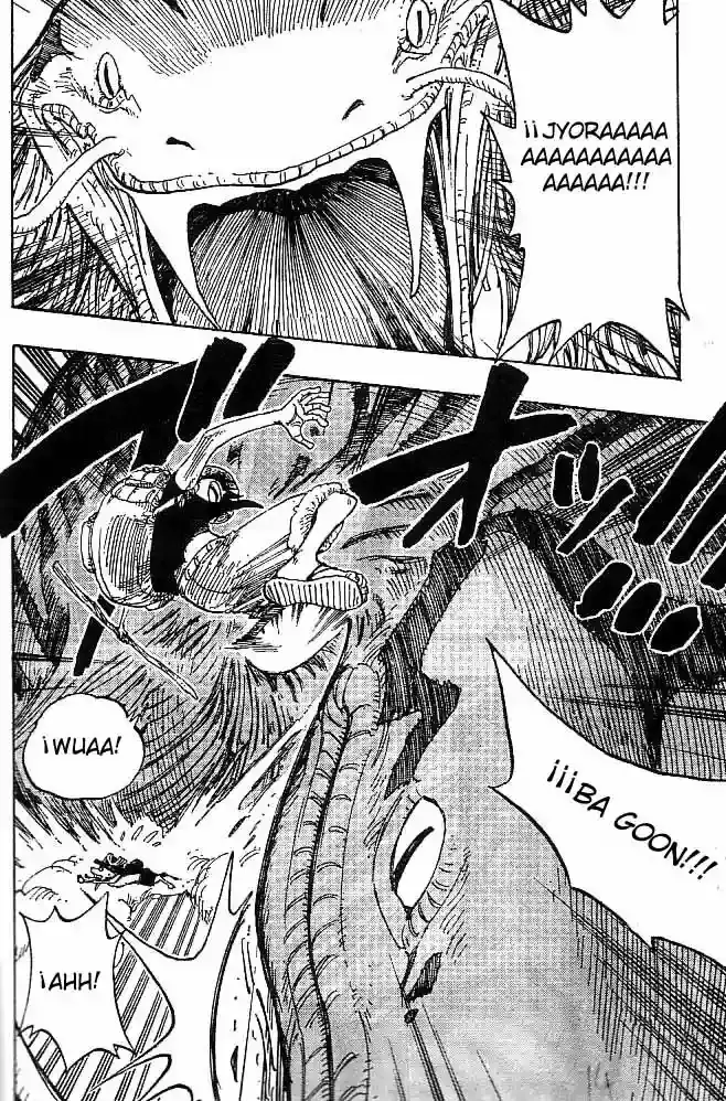 One Piece capítulo 255 página 14