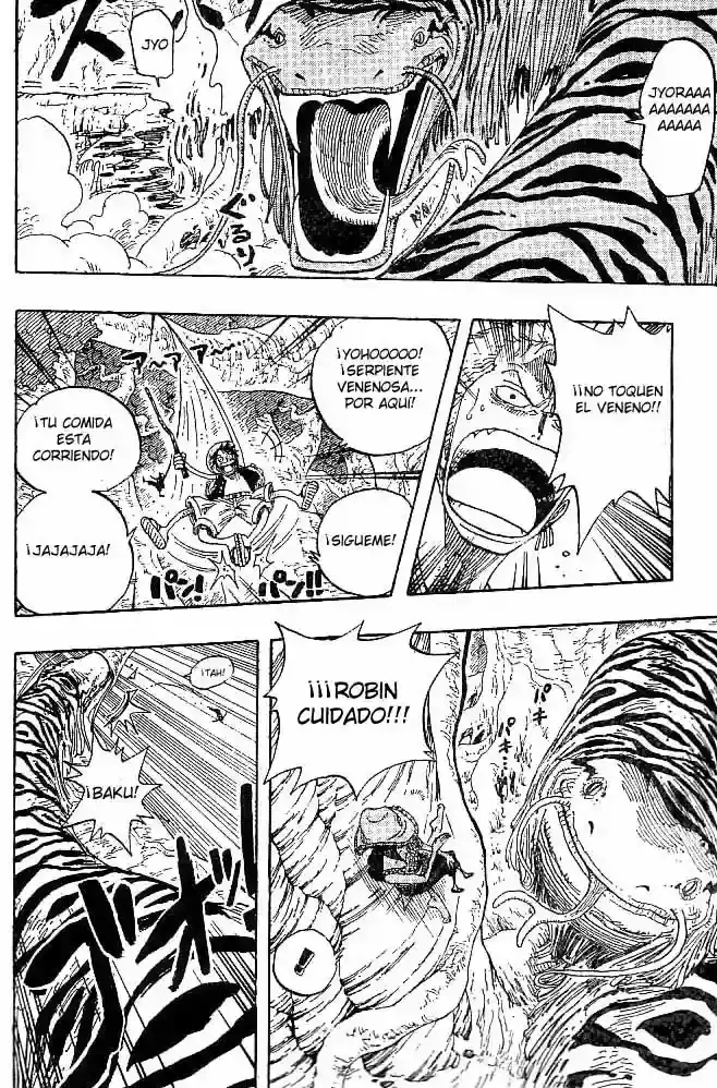 One Piece capítulo 255 página 16