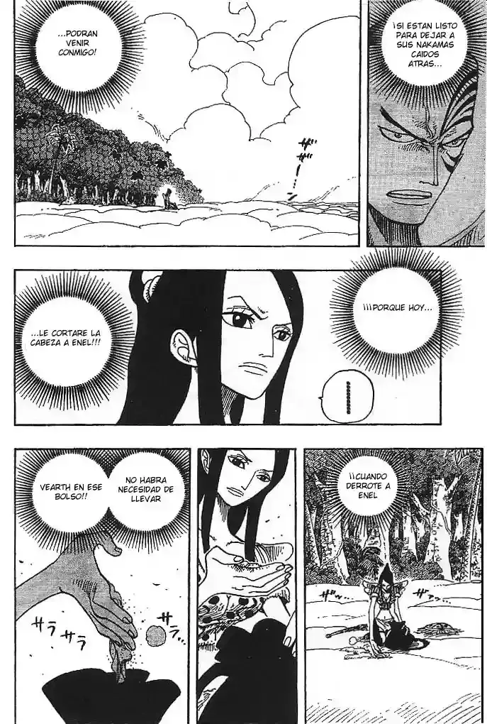 One Piece capítulo 257 página 10