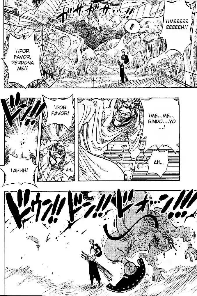 One Piece capítulo 258 página 14